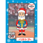 A Gift for You MLB BallPark Pass-Port custom card